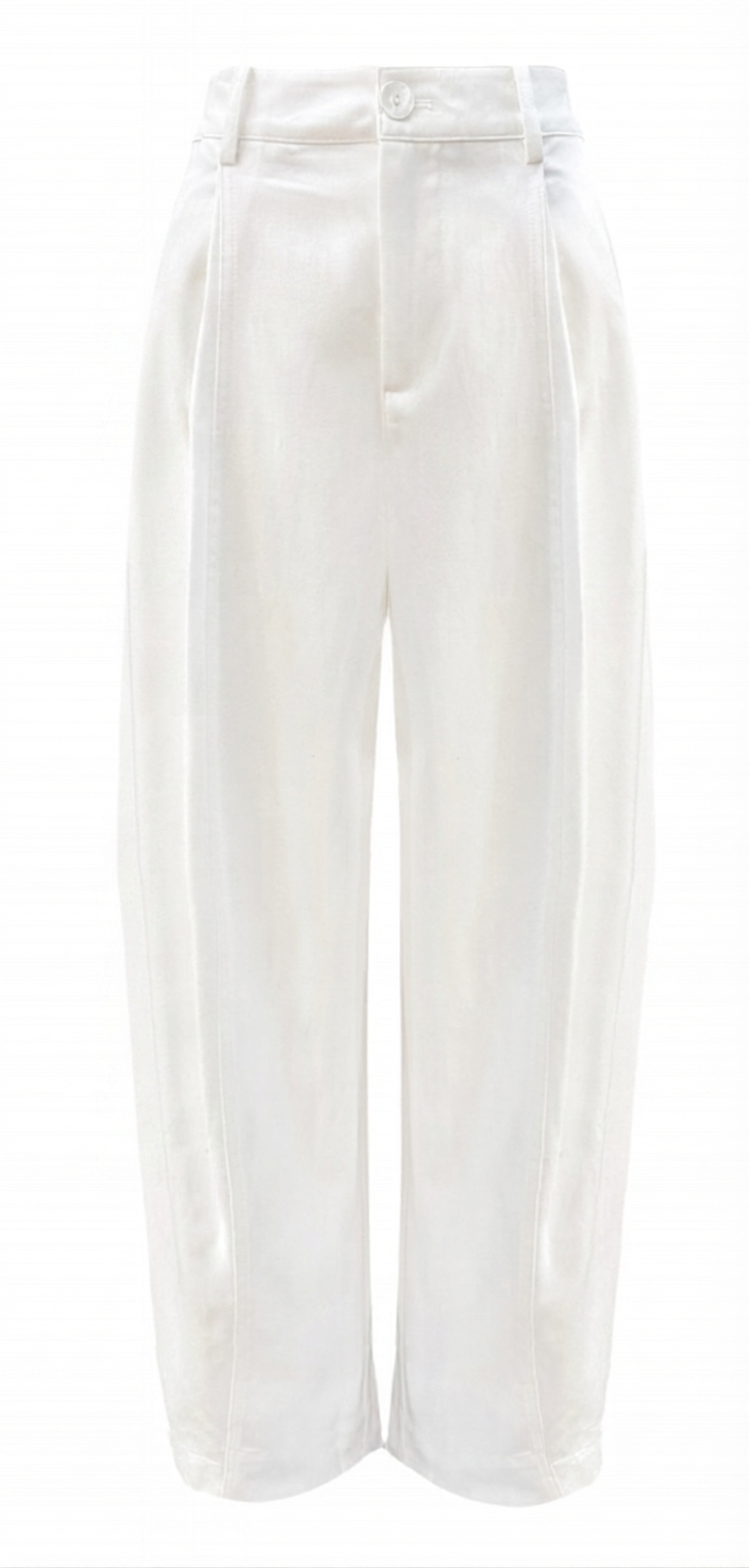 Vivienne Pleated Pants